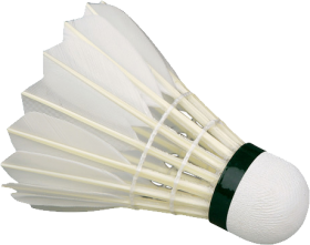 shuttlecock-featherball-91506490087cksexizjrz
